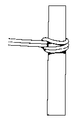 ph1.gif (842 bytes)